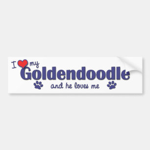 Autocollant De Voiture J'aime mon Goldendoodle (le chien masculin)