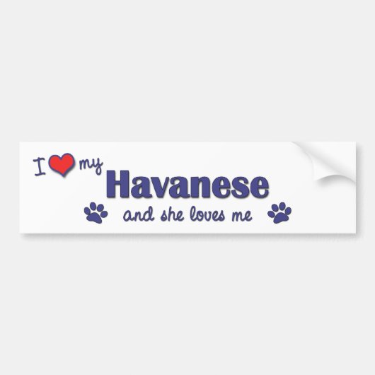 Autocollant De Voiture J'aime mon Havanese (le chien femelle) (Devant)