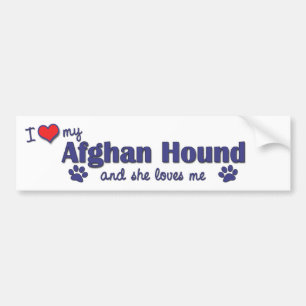 Autocollant De Voiture J'aime mon lévrier afghan (le chien femelle)