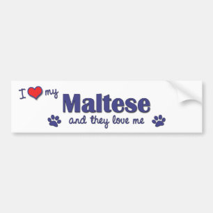 Autocollant De Voiture J'aime mon maltais (les chiens multiples)