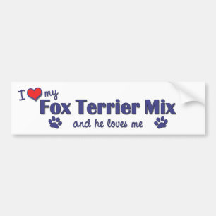 Autocollant De Voiture J'aime mon mélange de Fox Terrier (le chien