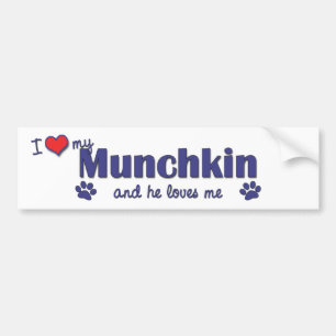 Autocollant De Voiture J'aime mon Munchkin (le chat masculin)