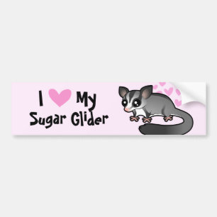 Autocollant De Voiture J'aime mon Phalanger nain sucre
