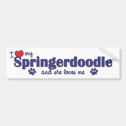 Autocollant De Voiture J'aime mon Springerdoodle (le chien femelle) (Devant)