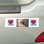 AUTOCOLLANT DE VOITURE J'AIME VRAIMENT DES CHATS (En voiture)