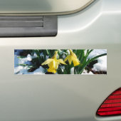 Autocollant De Voiture Jaune Daffodils fleurs dans la neige (En voiture)