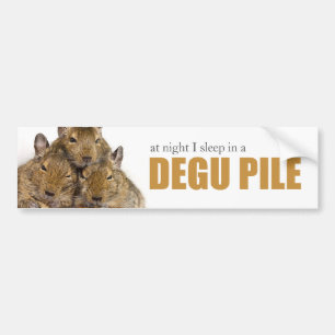 Autocollant De Voiture Je dors dans un adhésif pour pare-chocs de pile d