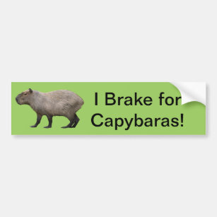 Autocollant De Voiture Je freine pour Capybara