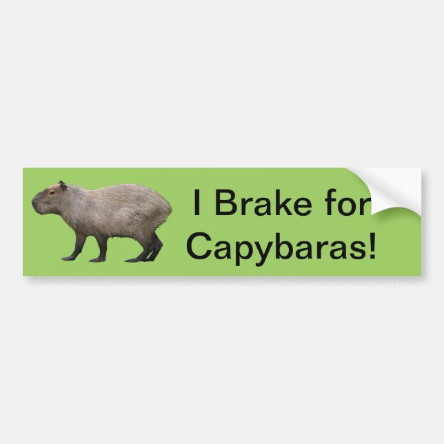 Autocollant De Voiture Je freine pour Capybara (Devant)