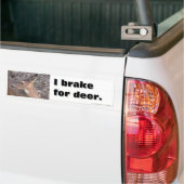 Autocollant De Voiture Je freine pour des cerfs communs (Sur camion)