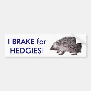 Autocollant De Voiture Je freine pour HEDGIES ! Sauvez les hérissons