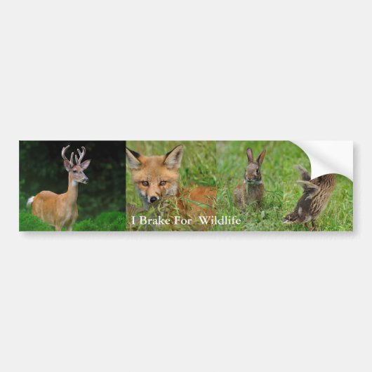 Autocollant De Voiture Je freine pour l'adhésif pour pare-chocs de faune (Devant)