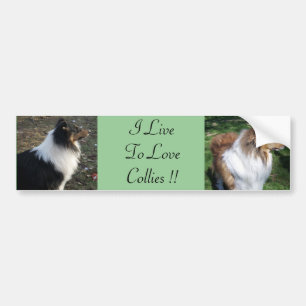 Autocollant De Voiture Je Vis Pour AimerCollies ! !