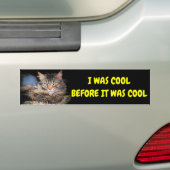 Autocollant De Voiture J'Étais Cool Avant C'Était Cool Cat Meme (En voiture)