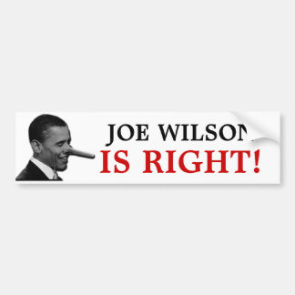 AUTOCOLLANT DE VOITURE JOE WILSON A RAISON