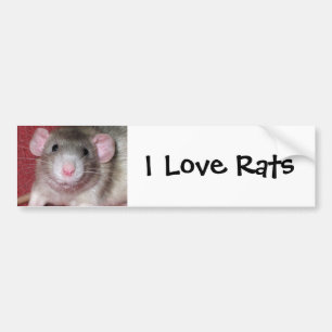 Autocollant De Voiture Joli Rat Dumbo