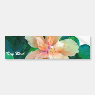Autocollant De Voiture Ketmie rose, Key West