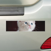 Autocollant De Voiture Kitten blanc vulnérable (En voiture)