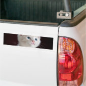 Autocollant De Voiture Kitten blanc vulnérable (Sur camion)