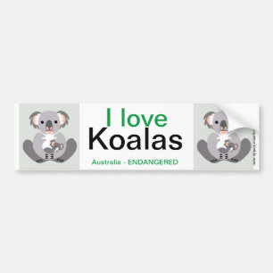 Autocollant De Voiture Koala-