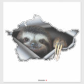 Autocollant de voiture Koala autocollant Animaux a (Feuille)