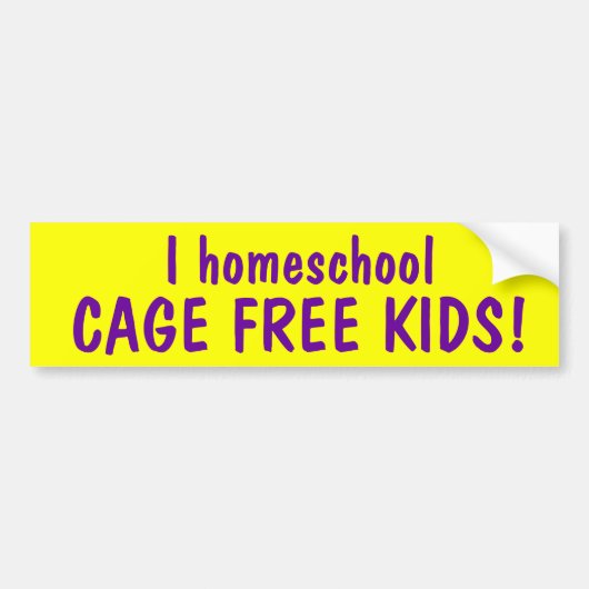 Autocollant De Voiture La CAGE du homeschool I LIBÈRENT DES ENFANTS (Devant)