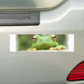 Autocollant De Voiture La grenouille observe l'adhésif pour pare-chocs (En voiture)
