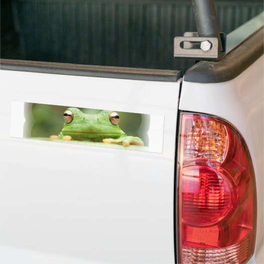 Autocollant De Voiture La grenouille observe l'adhésif pour pare-chocs (Sur camion)