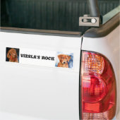 Autocollant De Voiture La ROCHE de VIZSLA, adhésif pour pare-chocs (Sur camion)