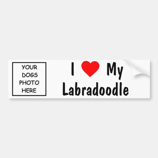 Autocollant De Voiture Labradoodle (Devant)