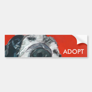 Autocollant De Voiture Labrador retriever ADOPTENT l'adhésif pour