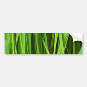 Autocollant De Voiture Lames d'herbe