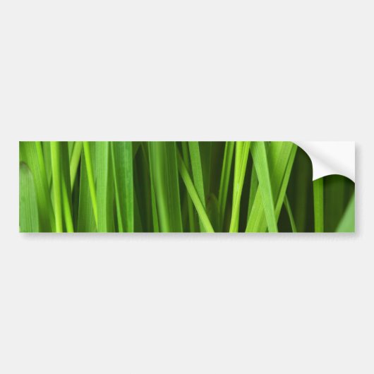 Autocollant De Voiture Lames d'herbe (Devant)