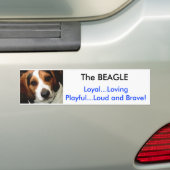 Autocollant De Voiture Le BEAGLE (En voiture)