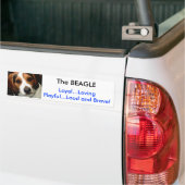 Autocollant De Voiture Le BEAGLE (Sur camion)