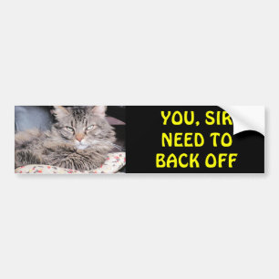 Autocollant De Voiture Le chat de butoir indique, que vous monsieur Need