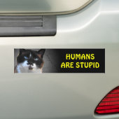 Autocollant De Voiture Le chat de moustache indique que les humains sont (En voiture)