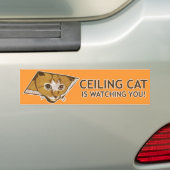 Autocollant De Voiture Le chat de plafond vous observe ! (En voiture)