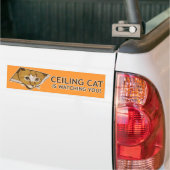 Autocollant De Voiture Le chat de plafond vous observe ! (Sur camion)