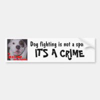 Le combat de chien n'est pas un sport que c'est un