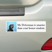 Autocollant De Voiture Le dobermann est plus futé que l'étudiant (En voiture)