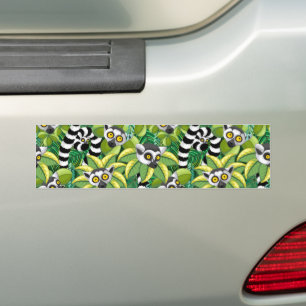 Autocollant De Voiture Lémuriens de Madagascar dans une jungle exotique
