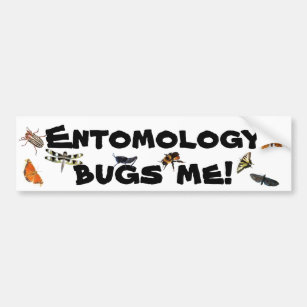 Autocollant De Voiture L'entomologie me branche sur table d'écoute