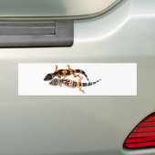 Autocollant De Voiture Léopardgecko (En voiture)
