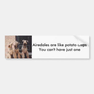 Autocollant De Voiture Les Airedales sont comme la pomme de terre ch…