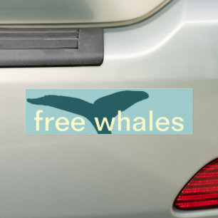 Autocollant De Voiture les baleines