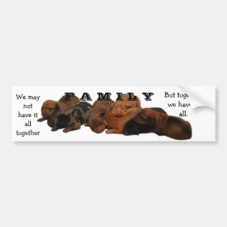 Autocollant De Voiture Les chiots de Doxie, F A.M.I L Y, nous pouvons ne