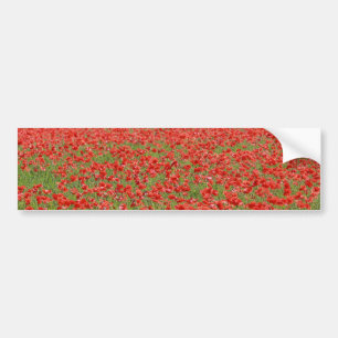 Autocollant De Voiture Les Poppies !
