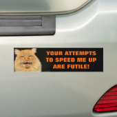 Autocollant De Voiture Les tentatives de Tailgaters sont chat futile Meme (En voiture)