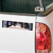 Autocollant De Voiture L'espace de planètes de pyramides (Sur camion)